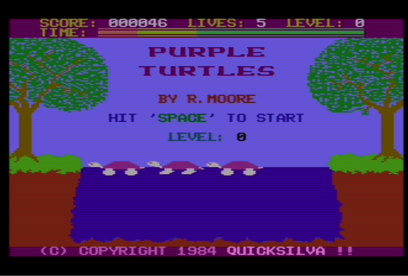commoore plus 4 purple turtles